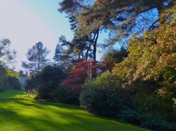 Eté indien au Bois des Moutiers 9